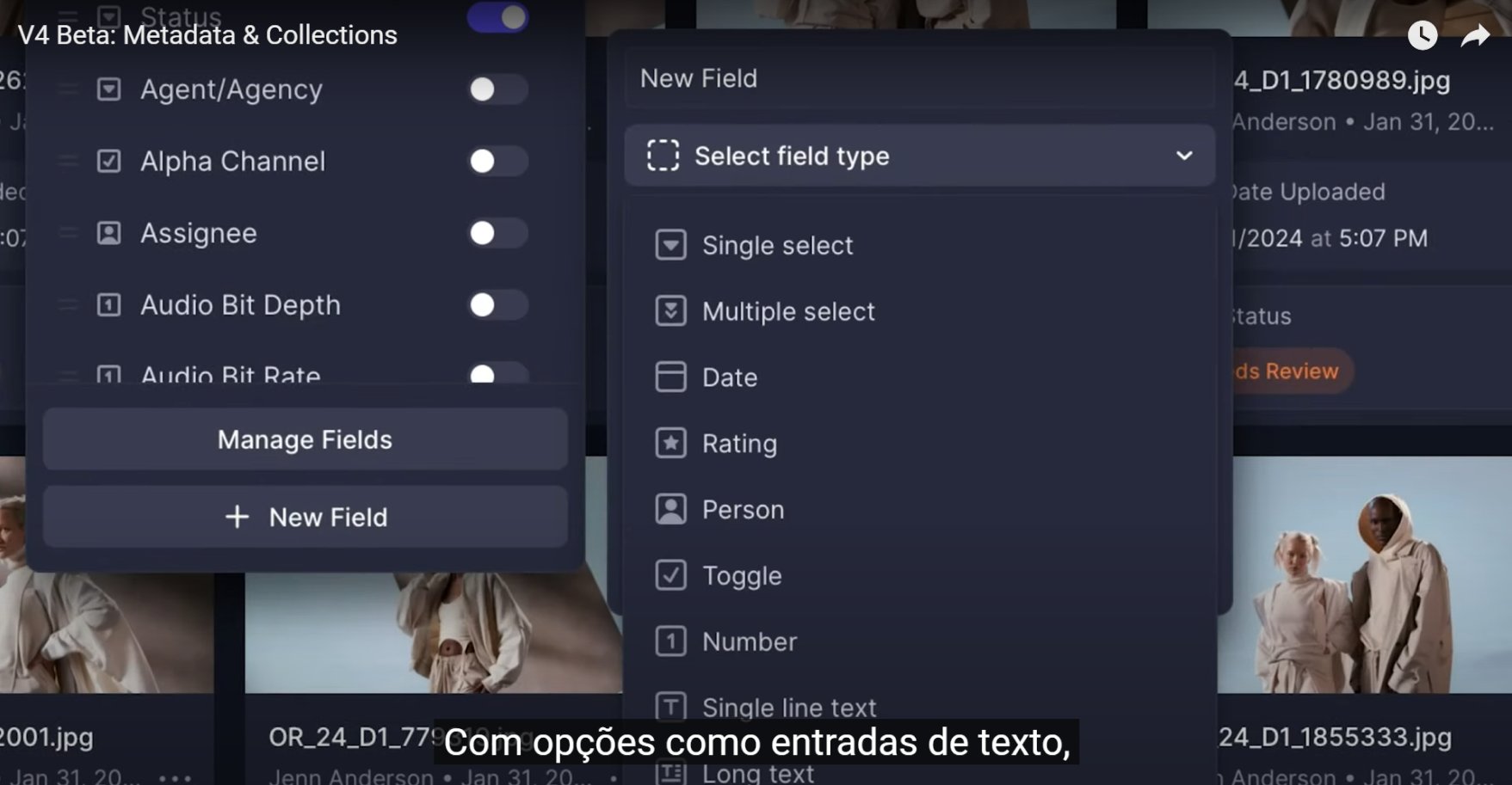 Frame.io V4 Beta — campos de metadados customizáveis com tipos variados