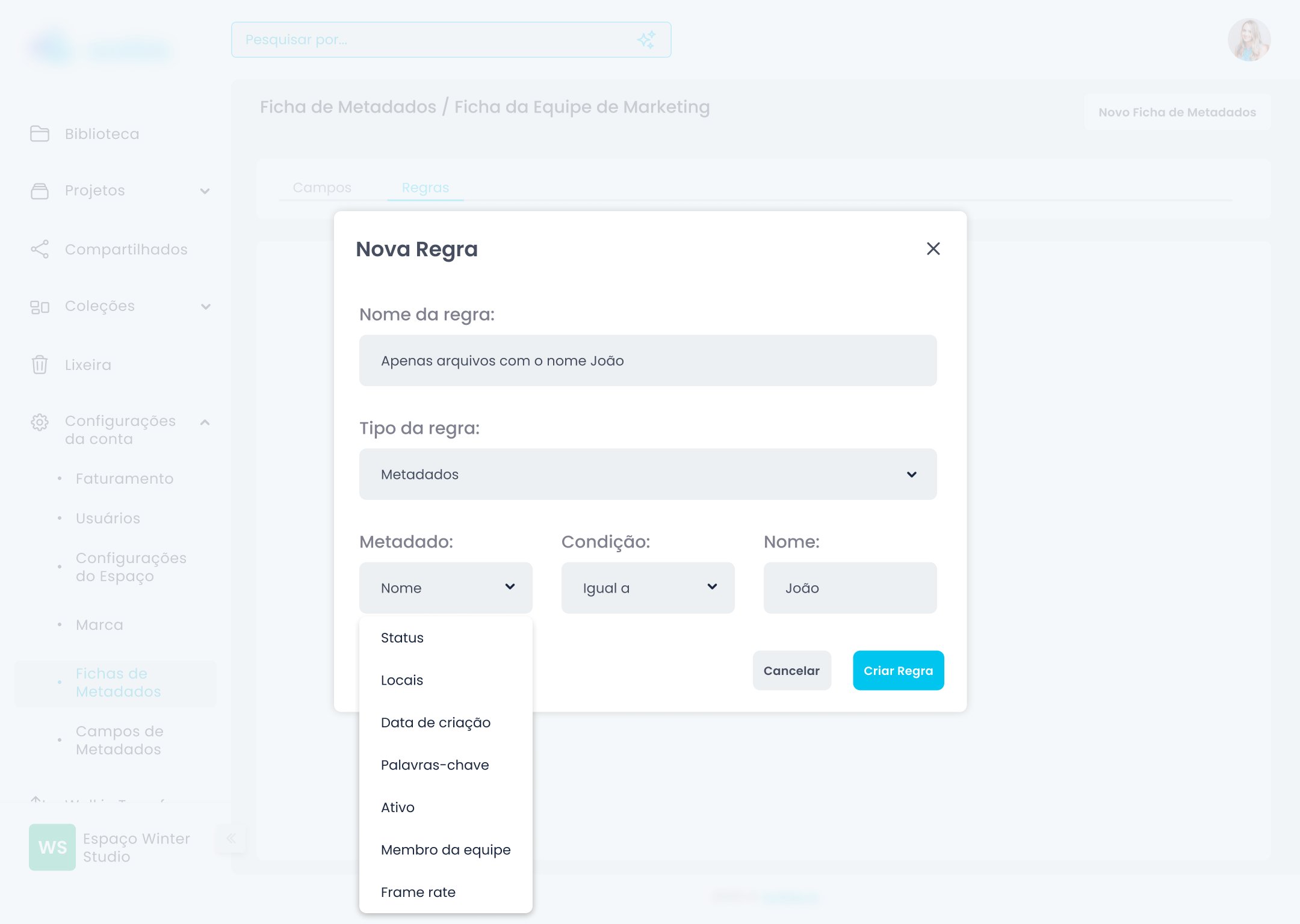 Modal Nova Ficha de Metadados